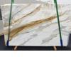 Suministro (Italia) de planchas pulidas en mármol natural CALACATTA MACCHIAVECCHIA.  1759 , Slab #13 